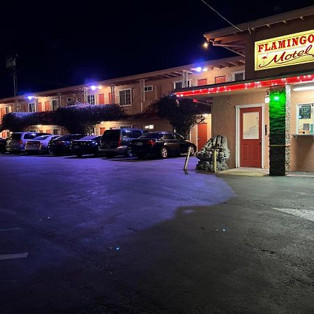 Flamingo Motel อ็อกซ์นาร์ด ภายนอก รูปภาพ