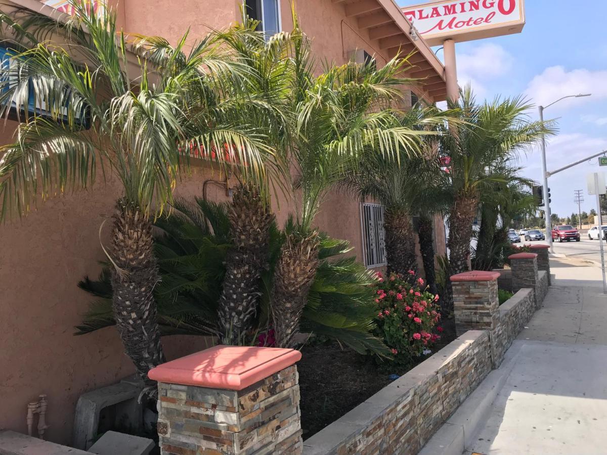 Flamingo Motel อ็อกซ์นาร์ด ภายนอก รูปภาพ