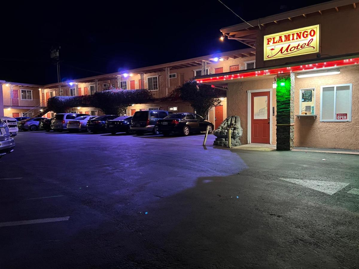 Flamingo Motel อ็อกซ์นาร์ด ภายนอก รูปภาพ