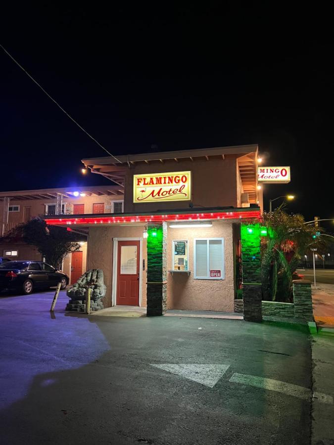 Flamingo Motel อ็อกซ์นาร์ด ภายนอก รูปภาพ